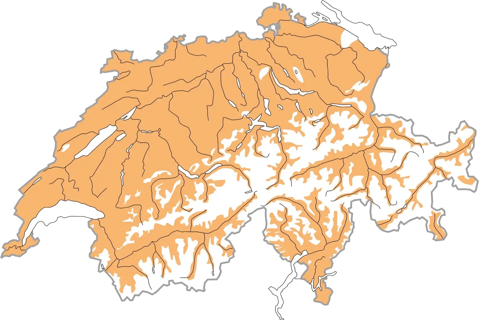 Répartition schématique pendant la période de reproduction (ocre). © Station ornithologique suisse Répartition schématique pendant la période de reproduction (ocre). © Station ornithologique suisse