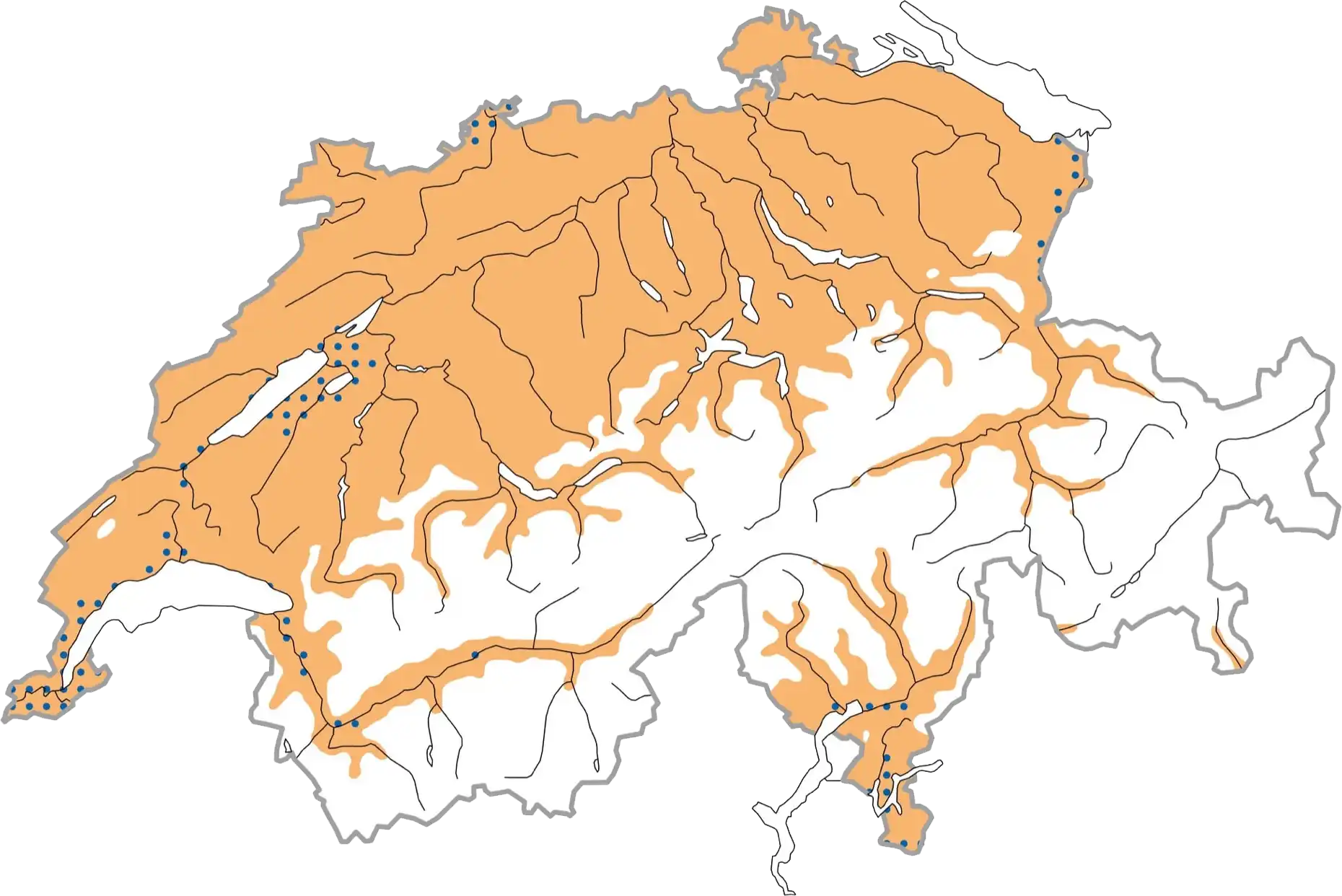 Répartition schématique pendant la période de reproduction (ocre), en hiver (pointillés bleus). © Station ornithologique suisse Répartition schématique pendant la période de reproduction (ocre), en hiver (pointillés bleus). © Station ornithologique suisse