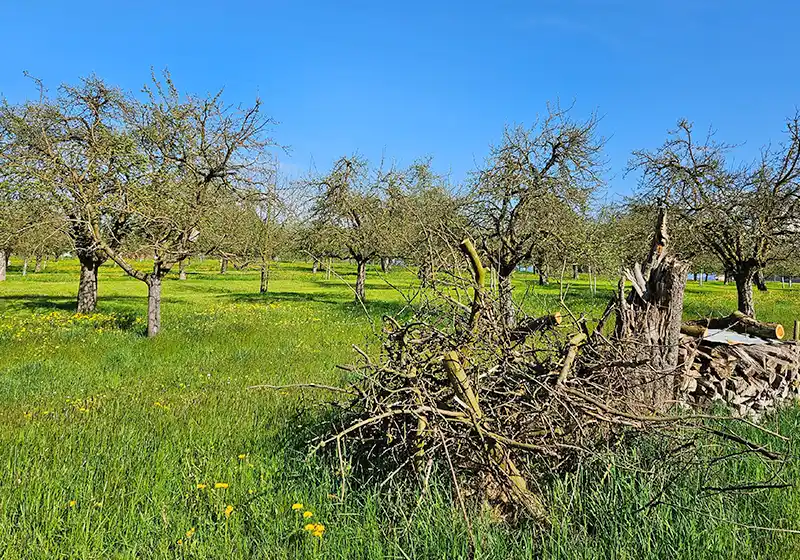 Petites structures isolées