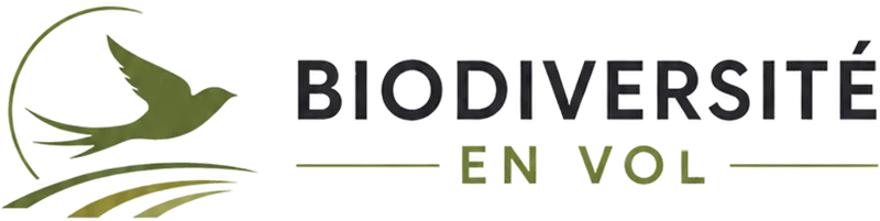 Biodiversität im Flug